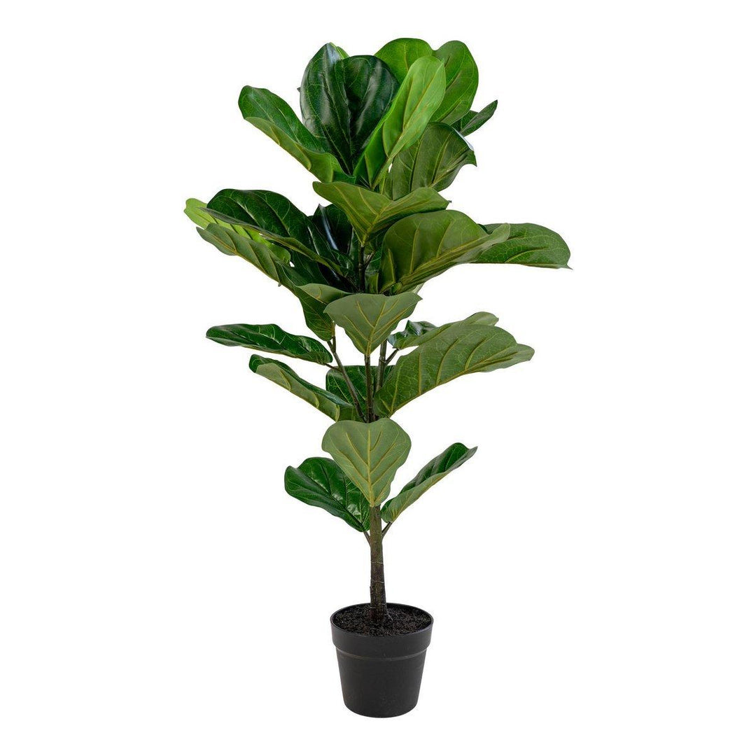 Fiddle Leaf Tree - 100cm - I Love Japandi